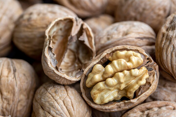 Ripe and raw whole big walnut kernel with thin shell on wooden rustic backdrop. Healthy nut food for brain. Fresh walnuts background concept