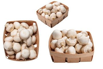 Champignon mushroom isolated on white background.