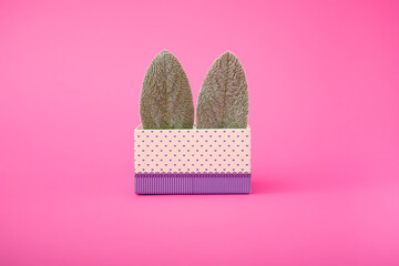 Bunny rabbit ears made of natural green leaves. Decorated cardboard gift box with heart pattern.