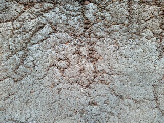 texture and background of old concrete pavement