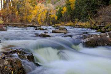 river in autumn