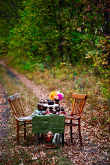 Chocolate fig loaf cake in the autumn forest.style vintage