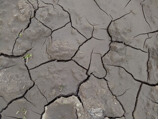 dried mud with cracks closeup photo texture and background