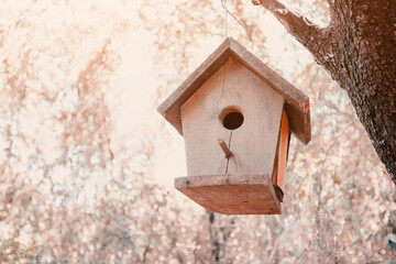 An empty birdhouse hangs on a tree branch in the Park. Environmental education of children and nature protection