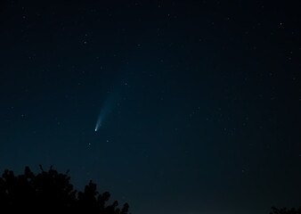 Comet Neowise traveling low over trees in northwestern sky