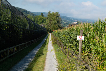 forest road with prohibition sign no passage, written in german, german text translation: 'no...
