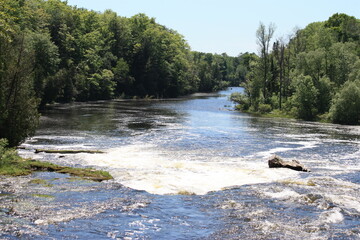 river in the woods