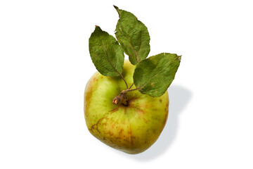Damaged wild green apple on a white background