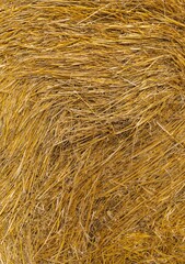 straw rolled up as a background