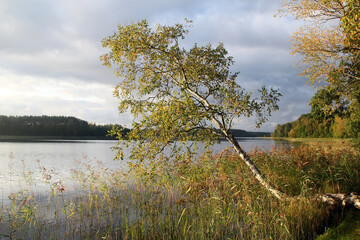 Autumn landscape