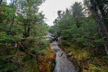 Adirondacks