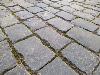 paving slabs in the park in the summer