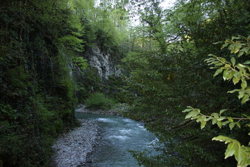 waterfall in the forest