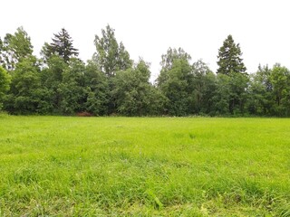 landscape of green field against the background of dense forest in the daytime