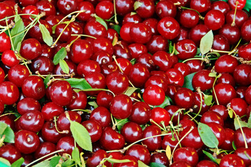 Cerezas maduras y listas para comer. Fondo colorido de cerezas maduras a la venta en Tulcea, Rumanía.