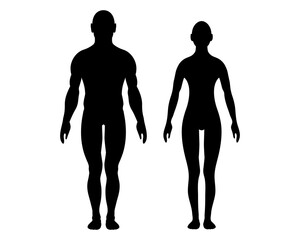 Human body silhouette. Man and woman body. Male and Female figure isolated on white