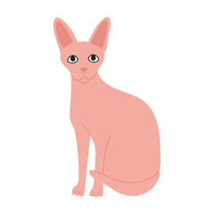 Sphinx, hairless cute cat in pink color. Modern pet. Hand drawn vector illustration in flat cartoon style, isolated on white background. 