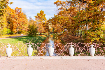 Autumn foliage in Alexander park, Pushkin (Tsarskoe Selo), Saint Petersburg, Russia