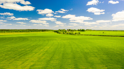  a beautiful view of the forest expanses and fields in bright colors on a summer day