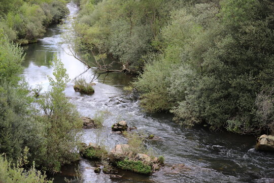 Castilla y León. León. Cistierna. Río Esla. ““El cuidado de los ríos no es una cuestión de ríos sino del corazón humano”. Shozo Tanaka.