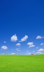 Fototapeta premium 草原の赤い家