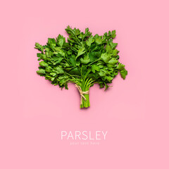 Bunch of fresh green parsley on pink background flat lay top view copy space. Creative food...