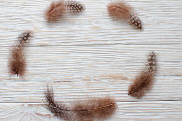 Rounded frame of guinea fowl feathers on wooden background, top view