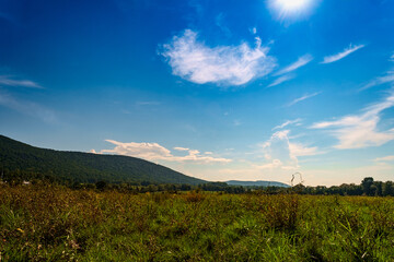 Trees Field Landscape Mountains