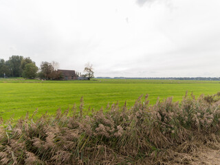 An agricultural field in Weesp, The Netherlands