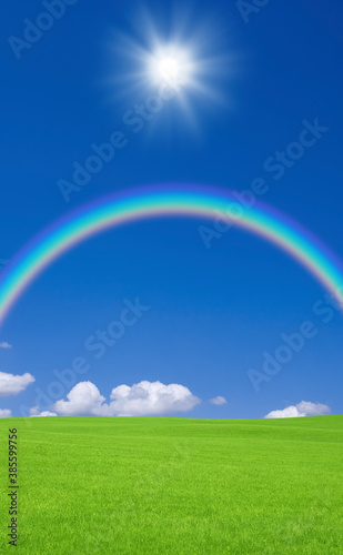 草原と虹と太陽 Wall Mural Wallpaper Murals Wallsheaven Paylessimages