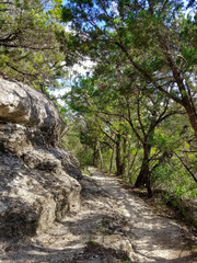 Fototapeta na wymiar Stone path in the forest
