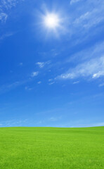 Fototapeta premium 草原と太陽