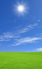 Fototapeta premium 草原と太陽