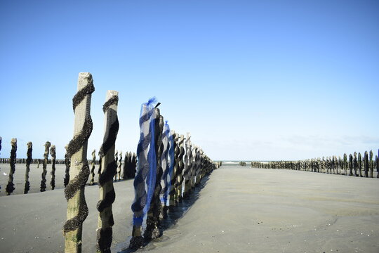 Les bouchots &agrave; moules