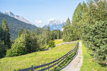 Alpine meadow in mountains