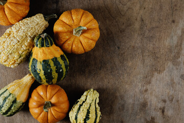 Rustic autumn flat lay of gourds and mini pumpkins on wood background with copy space for Thanksgiving season holiday.