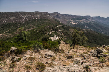 Fototapeta na wymiar Mountain view in Sardinia, Italy. Mountain landscape with trees and flowers.