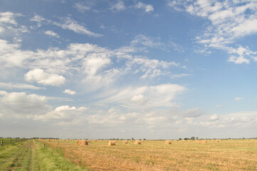 Obraz premium Campo rollos pasto