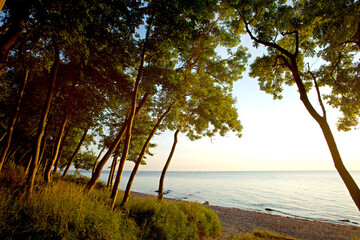 Schleswig-Holstein, Ostseeinsel Fehmarn, Naturstrand bei Katherienhof.