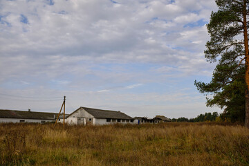 Abandoned, old, village farm, barn overgrown with shrubs and grass.