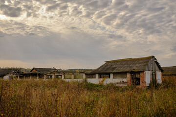 Abandoned, old, village farm, barn overgrown with shrubs and grass.