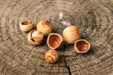 Ripe raw hazelnuts closeup on wooden cut surface background