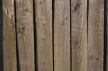 Wooden fence on a Sunny day. Grey wood background