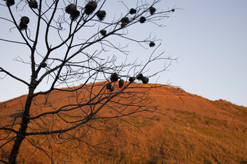 Cratere di Vesuvio