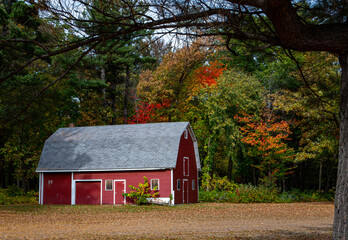 Little red barn under autumn colors © David Halgrimson