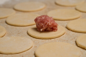 home cooking dumplings, dough and minced meat