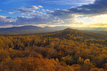 Mellow autumn in the far Eastern taiga forest. Bolshekhekhtsirsky Nature Reserve. Khabarovsk region, Russia.