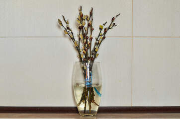 Willow catkins in the vase at kitchen. Spring is in the air.
