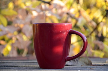 Red Cup of tea or coffee and warm plaid blanket on wooden rustic bench, picnic in the autumn...