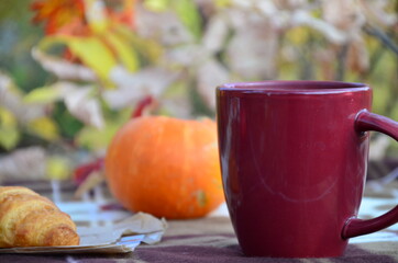 Red Cup of tea or coffee and warm plaid blanket on wooden rustic bench, picnic in the autumn...